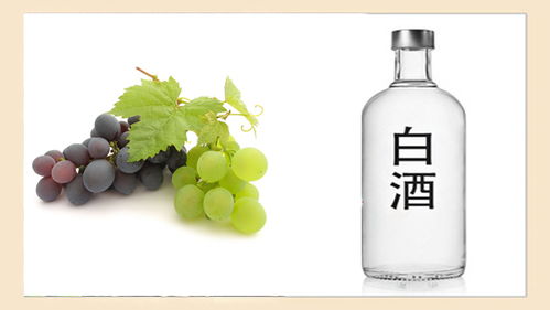 酒桌上“千杯不倒”的秘密，快來看看你知道幾個(gè)